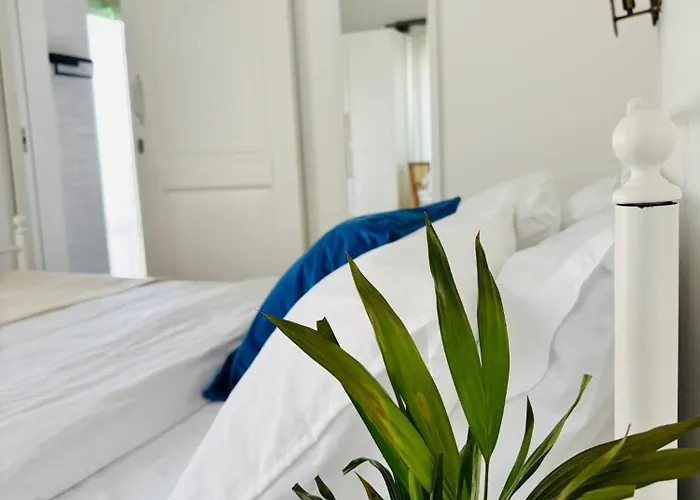 Sadele Hacimemis 民宿 Çeşme